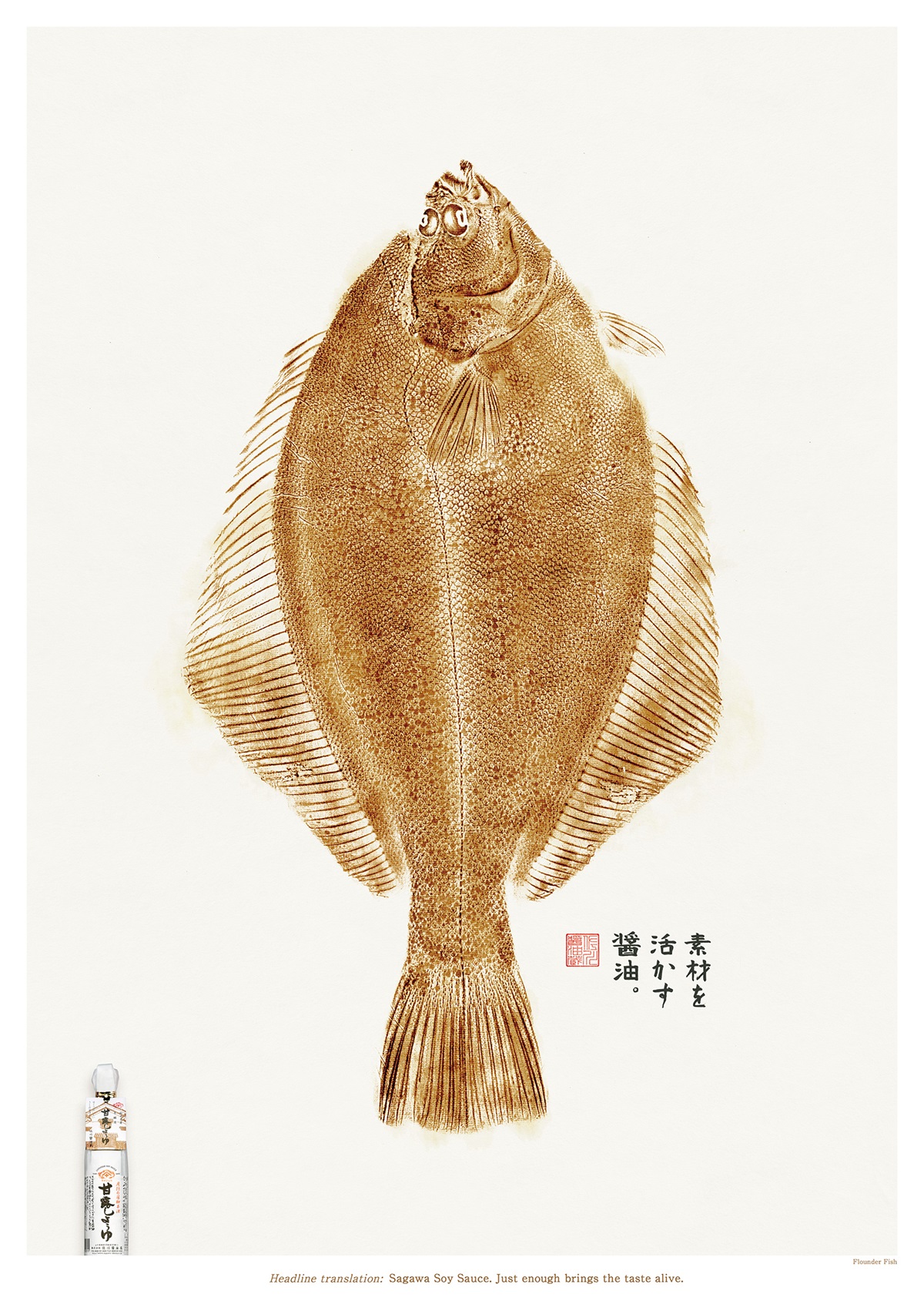 flounder fish 比目鱼篇