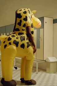 芬达-傻子了不起